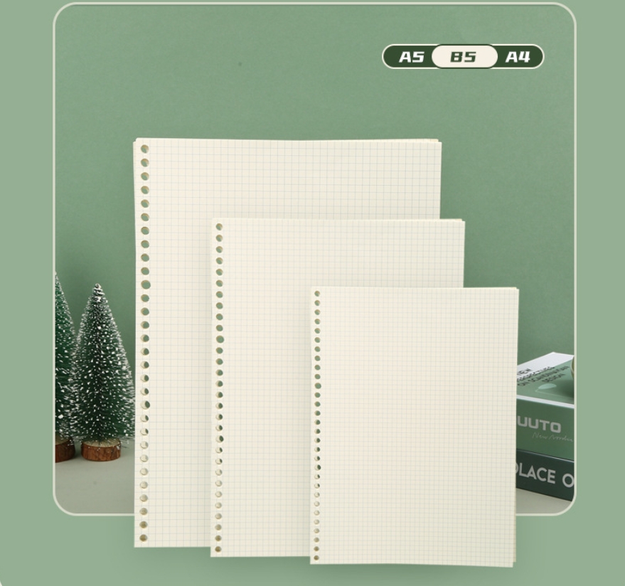 Griglia di linea A5 B5 20 fori - A5 Spiral Dotted Grid Notebook recensione e prezzo