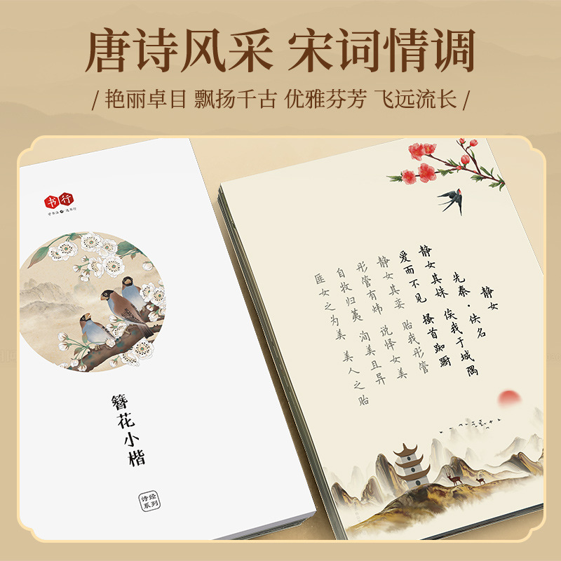 Quaderno di calligrafia Hairpi - Chinese Calligraphy Practice Book recensione e prezzo