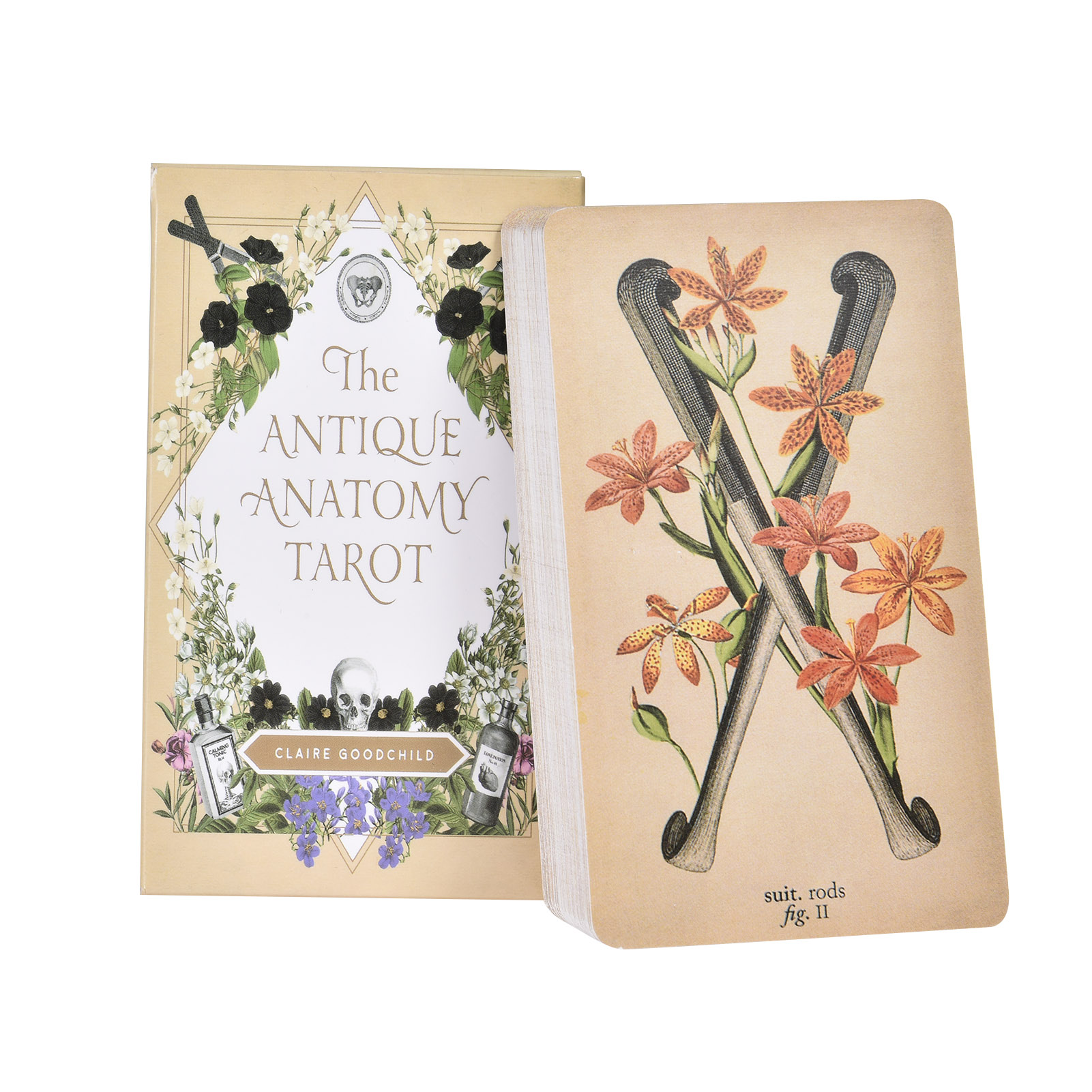 Le Carte dei Tarocchi dell'Ana - Tarot Deck With Guidebook recensione e prezzo