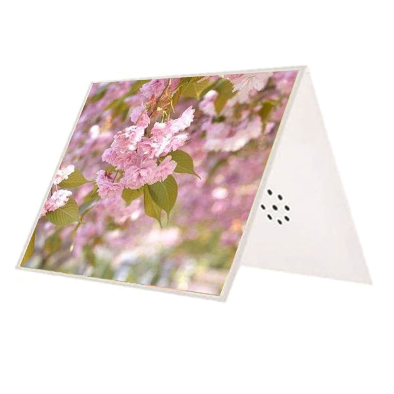 Biglietto d'auguri fai-da-te p - Blank Sheet Music Notebook recensione e prezzo